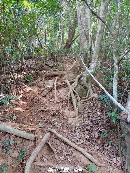 20221110_113127.jpg 20221110_113127.jpg