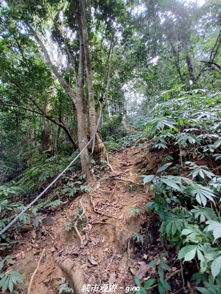 20221110_121925.jpg 20221110_121925.jpg