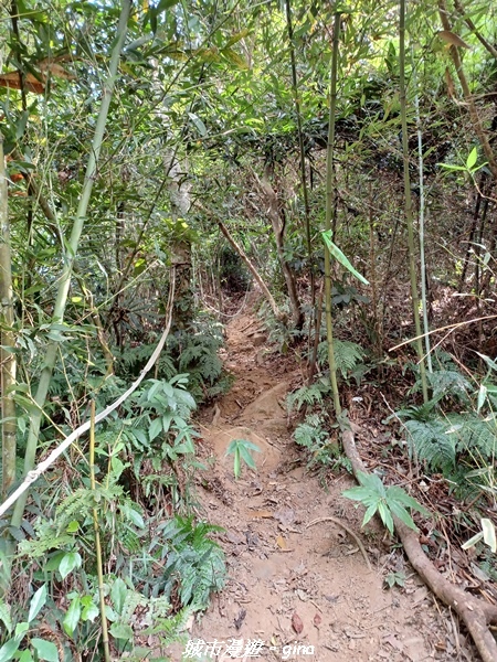 20221110_121120.jpg 20221110_121120.jpg