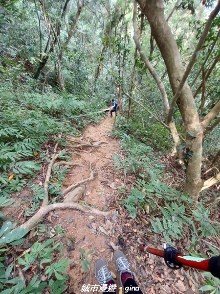 20221110_121603.jpg 20221110_121603.jpg