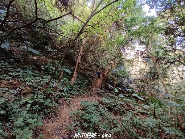 20221110_122121.jpg 20221110_122121.jpg