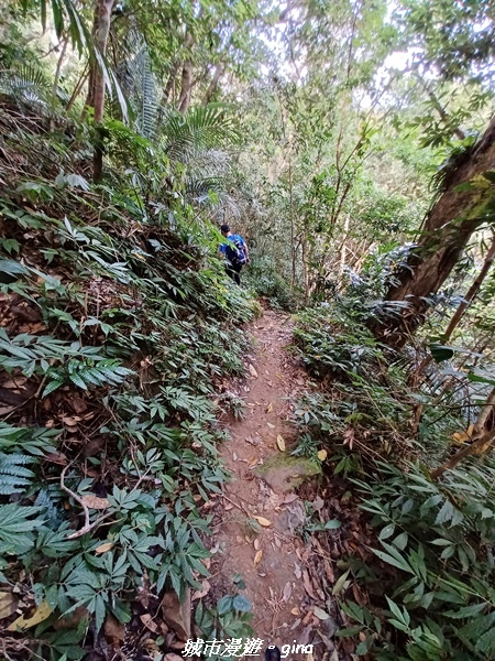 20221110_122034.jpg 20221110_122034.jpg