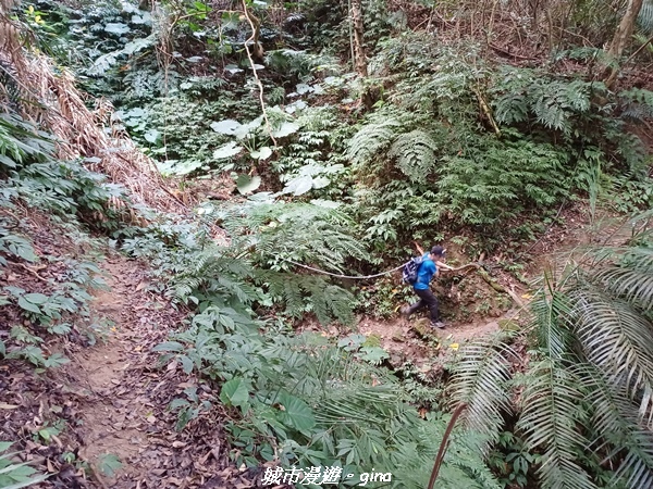 20221110_122336.jpg 20221110_122336.jpg