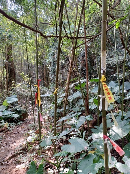 20221110_123137.jpg 20221110_123137.jpg