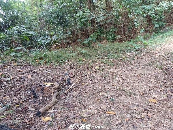 20221110_123444.jpg 20221110_123444.jpg