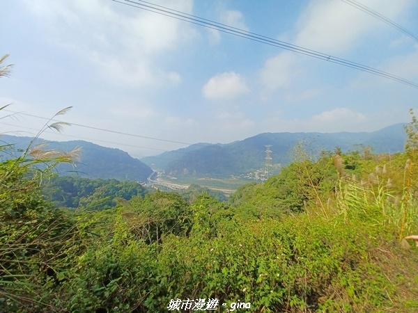 20221110_125110.jpg 20221110_125110.jpg