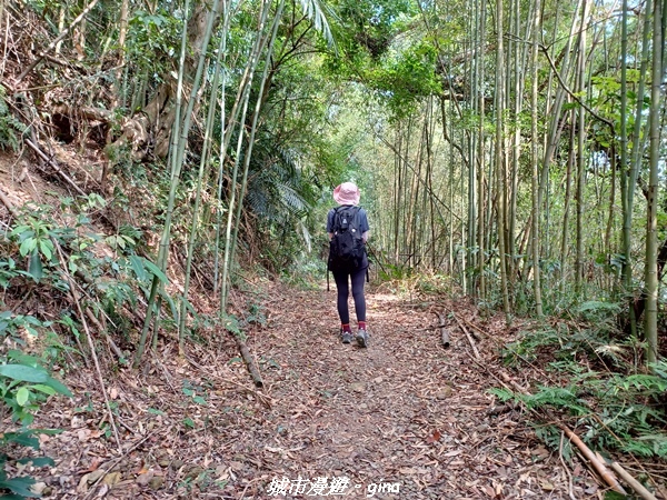 20221110_124011.jpg 20221110_124011.jpg