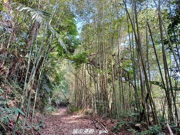 20221110_123955.jpg 20221110_123955.jpg