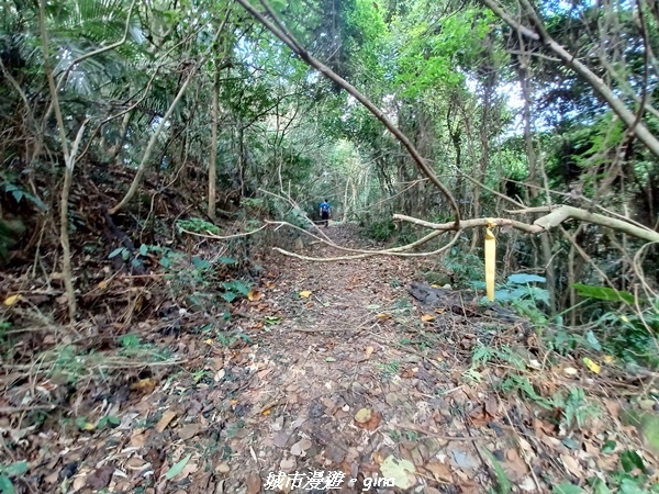 20221110_123515.jpg 20221110_123515.jpg