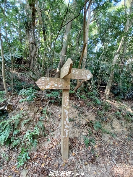 20221110_125510.jpg 20221110_125510.jpg