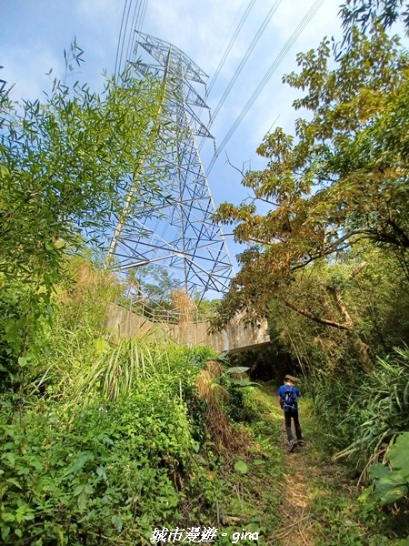 20221110_124518.jpg 20221110_124518.jpg