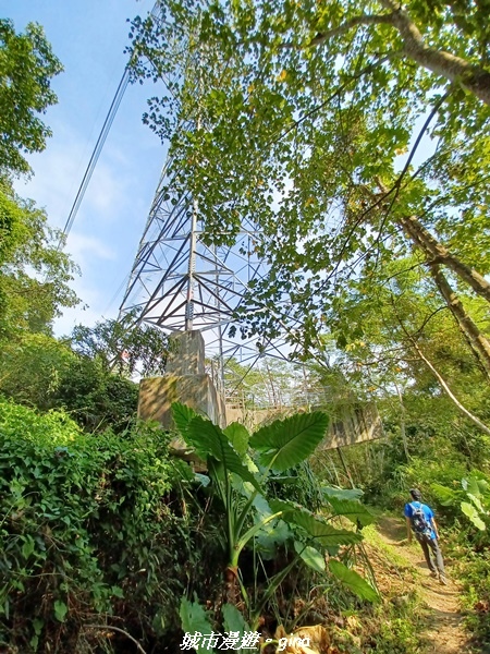 20221110_125902.jpg 20221110_125902.jpg