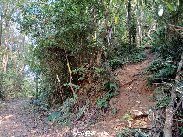 20221110_130318.jpg 20221110_130318.jpg