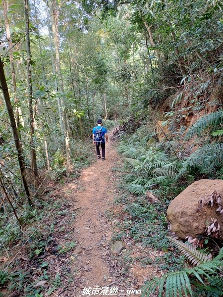 20221110_130147.jpg 20221110_130147.jpg