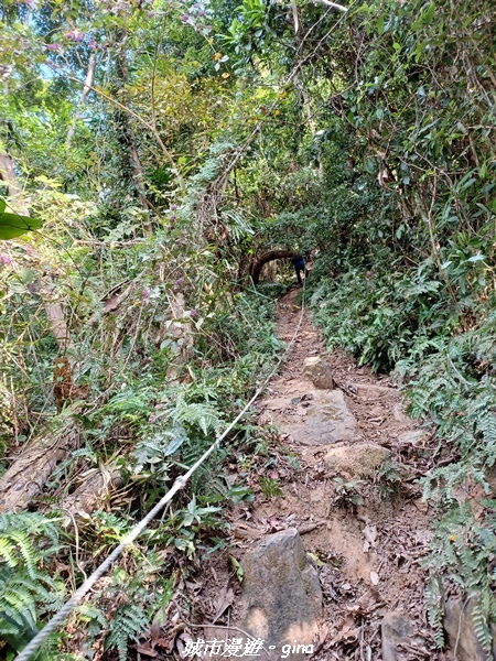 20221110_132210.jpg 20221110_132210.jpg