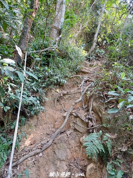 20221110_132125.jpg 20221110_132125.jpg