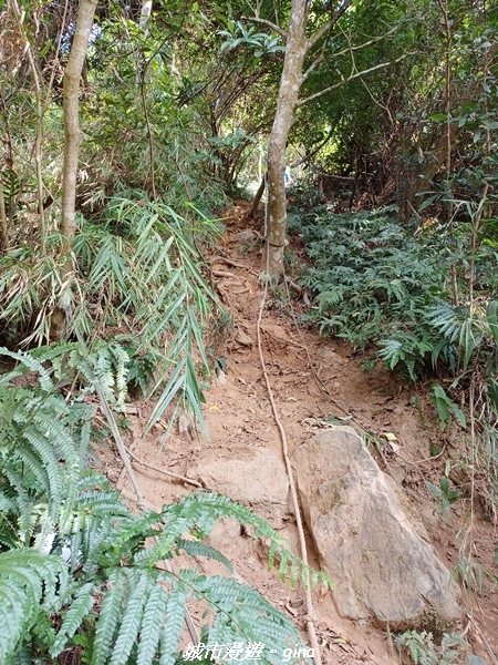 20221110_132801.jpg 20221110_132801.jpg