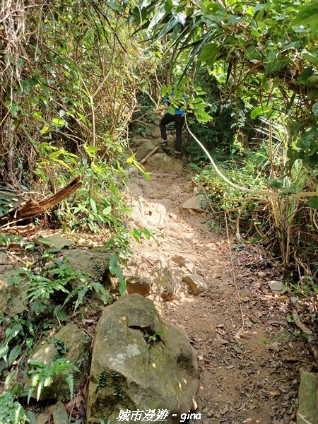 20221110_132530.jpg 20221110_132530.jpg