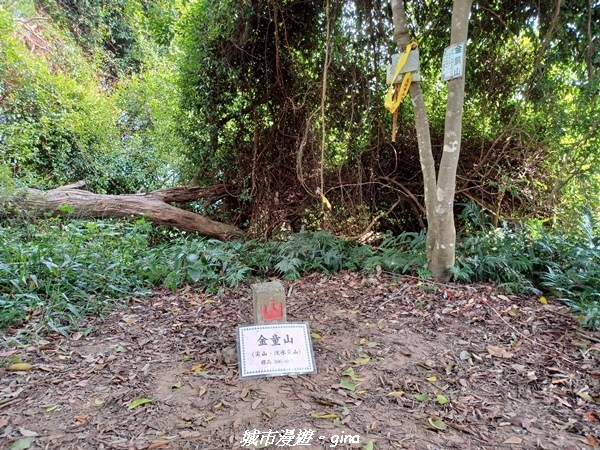 20221110_133110.jpg 20221110_133110.jpg