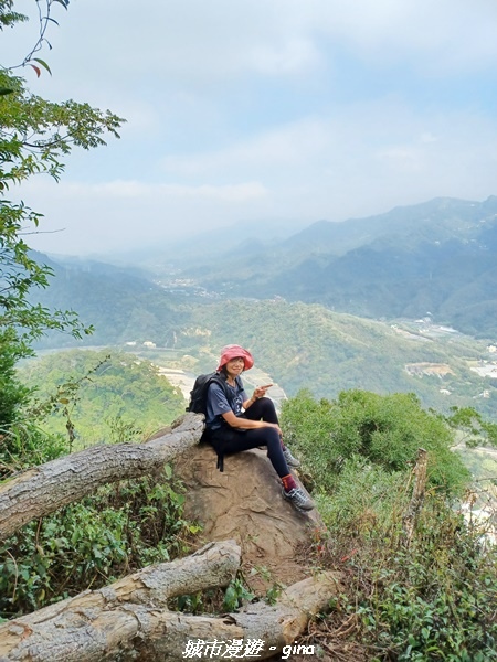 20221110_133253.jpg 20221110_133253.jpg