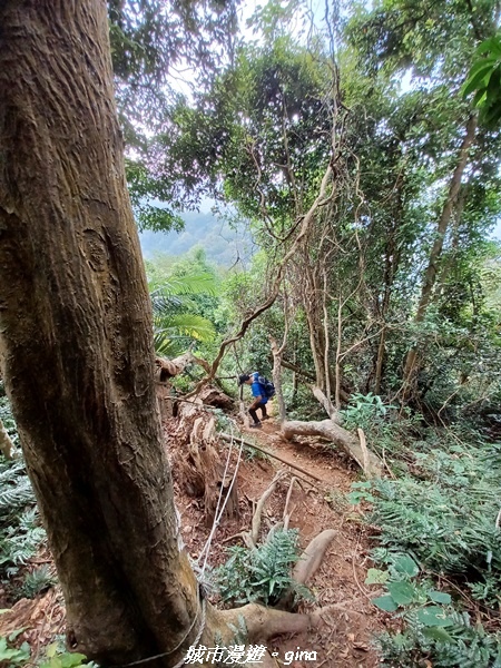 20221110_135002.jpg 20221110_135002.jpg