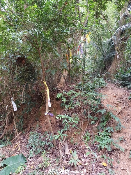 20221110_140832.jpg 20221110_140832.jpg