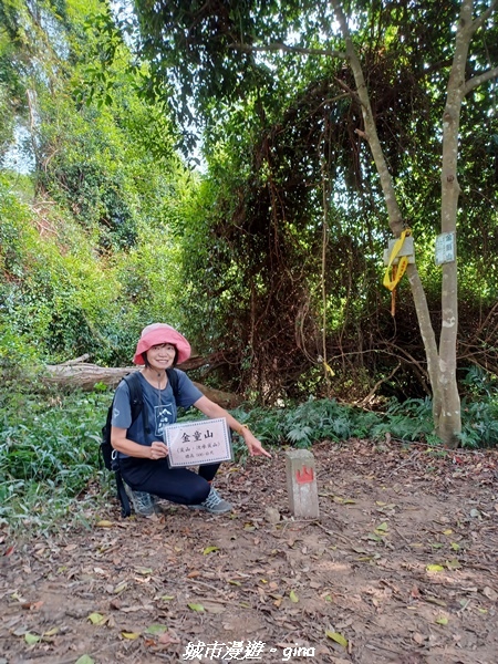 20221110_133910.jpg 20221110_133910.jpg