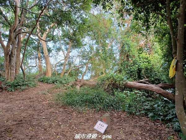 20221110_134811.jpg 20221110_134811.jpg