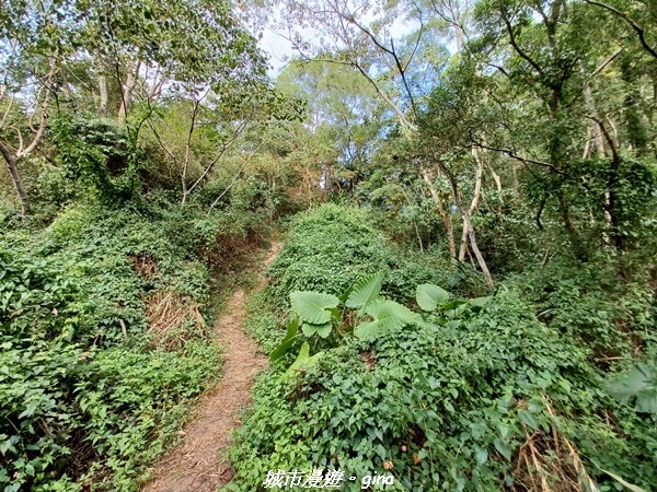 20221110_141646.jpg 20221110_141646.jpg