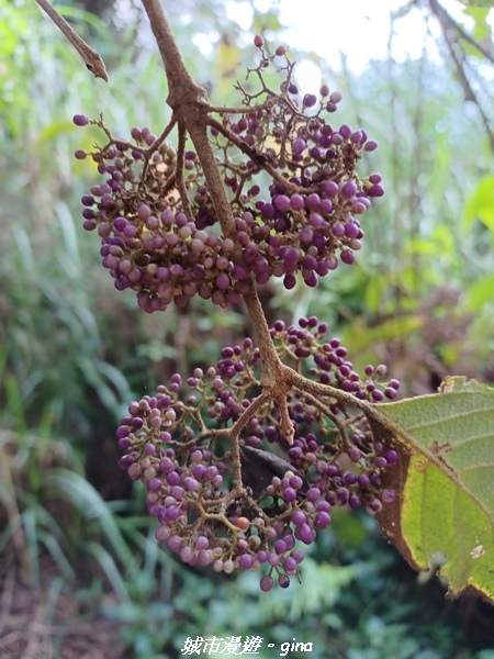 20221110_142220.jpg 20221110_142220.jpg