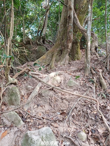 20221110_142612.jpg 20221110_142612.jpg