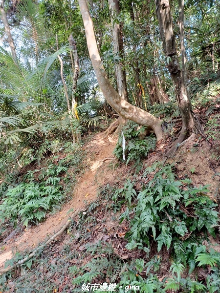 20221110_142454.jpg 20221110_142454.jpg