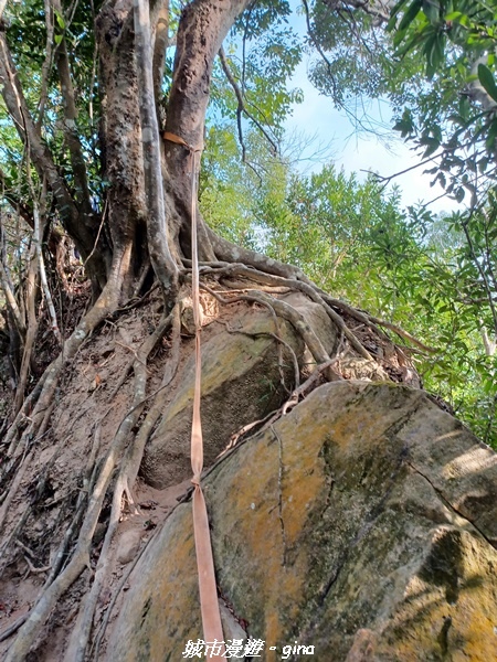 20221110_142654.jpg 20221110_142654.jpg