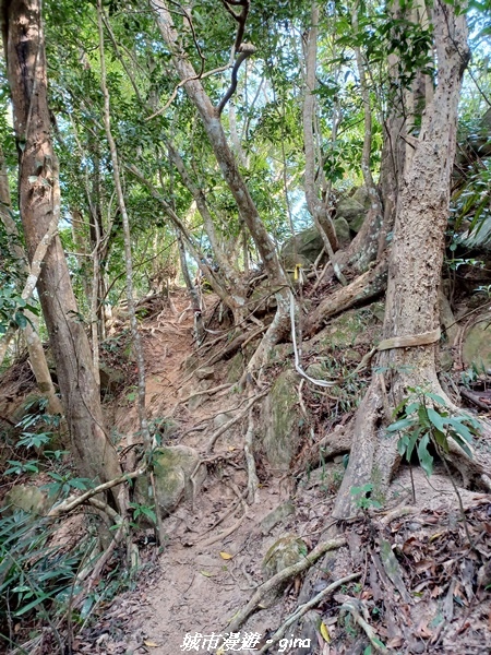 20221110_143034.jpg 20221110_143034.jpg