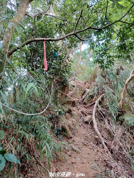 20221110_143158.jpg 20221110_143158.jpg