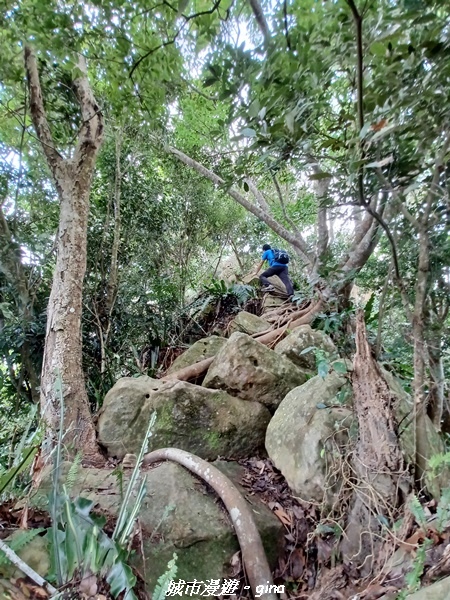 20221110_145232.jpg 20221110_145232.jpg