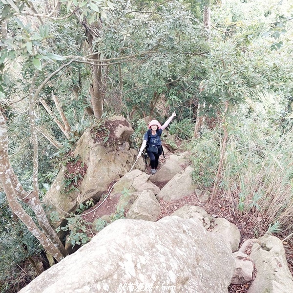 20221110_145234.jpg 20221110_145234.jpg