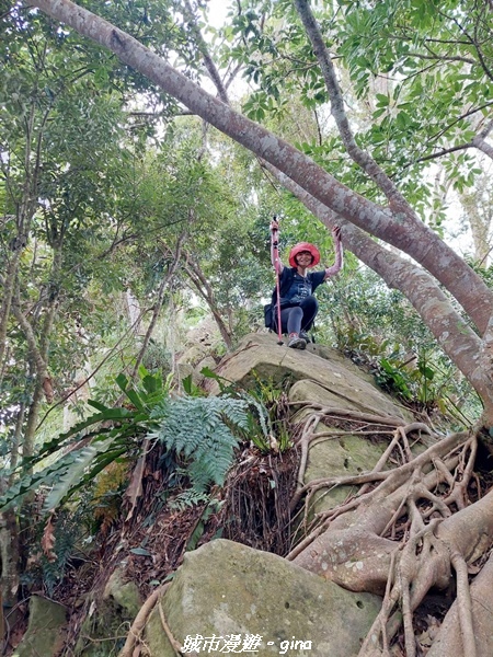 20221110_145235.jpg 20221110_145235.jpg