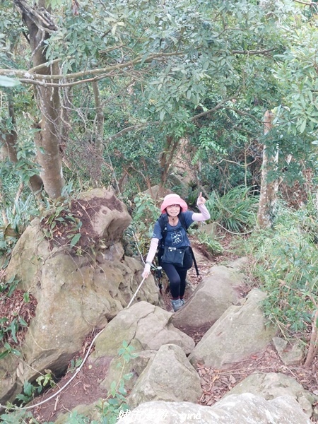 20221110_145233.jpg 20221110_145233.jpg