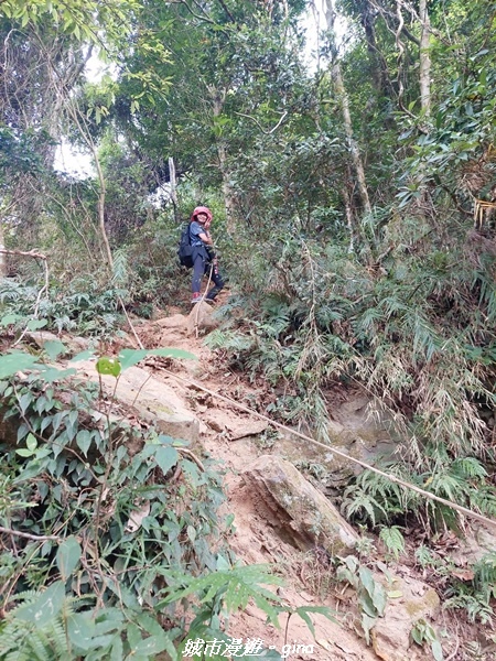 20221110_145237.jpg 20221110_145237.jpg