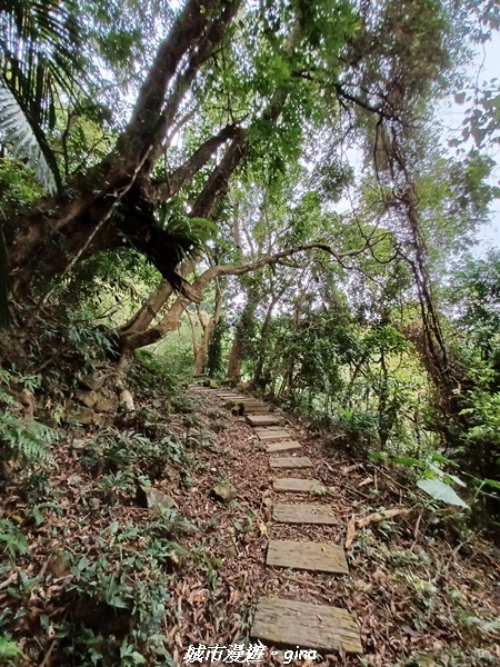 20221110_152520.jpg 20221110_152520.jpg