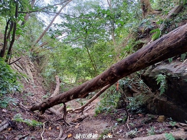 20221110_150909.jpg 20221110_150909.jpg