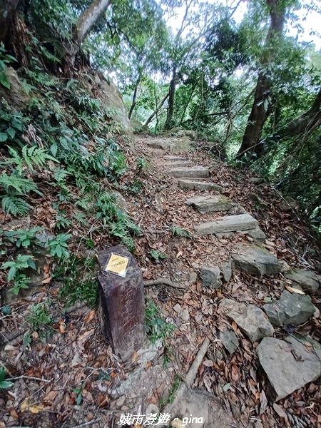 20221110_152850.jpg 20221110_152850.jpg