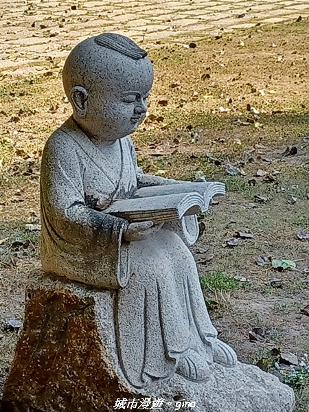 20221113_123432.jpg 20221113_123432.jpg