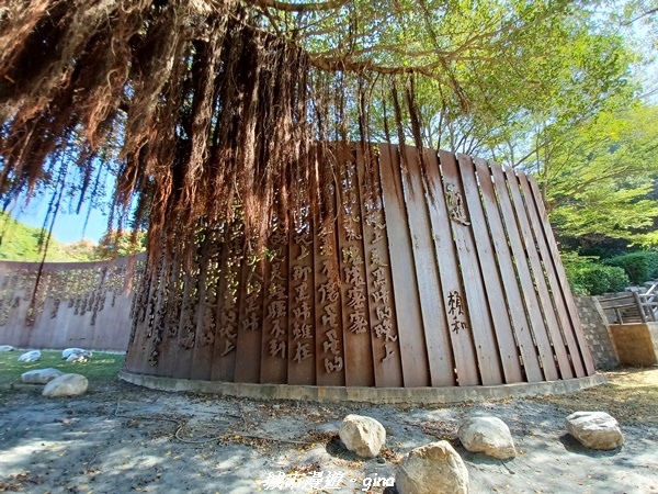 20221113_124525.jpg 20221113_124525.jpg