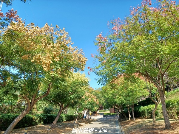 【彰化】漫行。 八卦山風景區x八卦山文學步道