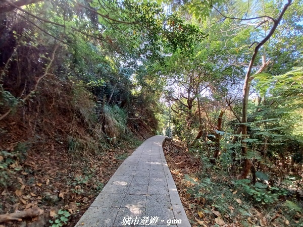 20221113_130136.jpg 20221113_130136.jpg