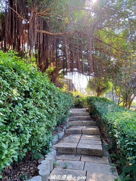 20221113_130431.jpg 20221113_130431.jpg