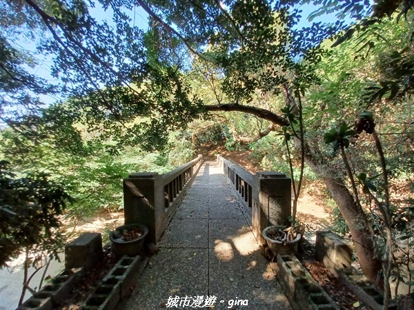 20221113_133106.jpg 20221113_133106.jpg