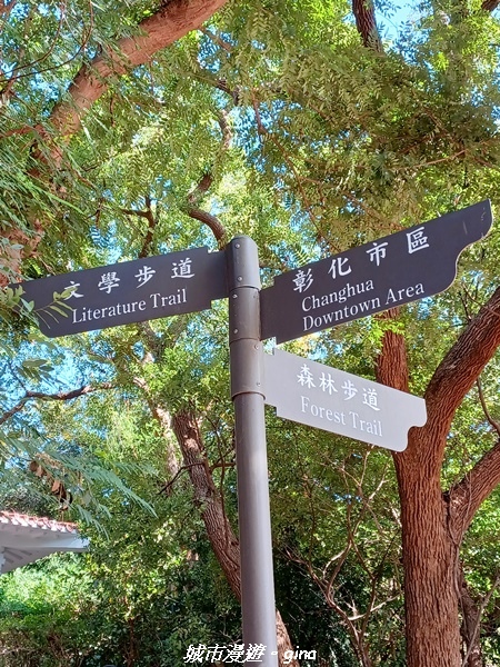 20221113_133454.jpg 20221113_133454.jpg